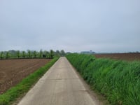 Kallerveld from Amelsdorp