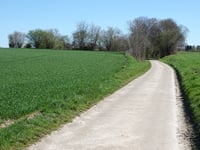 Kallerveld from Amelsdorp