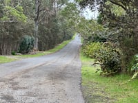 Kaloko Drive