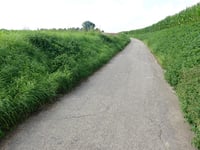 Kämerhöfer Strasse von Ruif