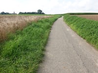 Kämerhöfer Strasse von Ruif