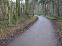 Kamperheideweg from Heerlerheide