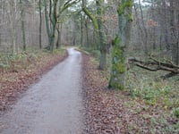 Kamperheideweg from Heerlerheide