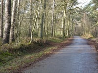 Kamperheideweg von Landgraaf