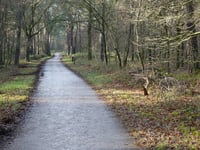 Kamperheideweg von Landgraaf