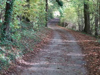 Kampsweg von Pesaken