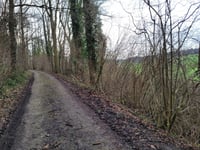 Kampsweg von Pesaken