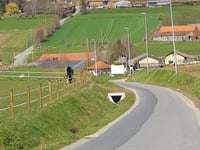 Kanarieberg
