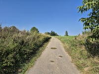 Kapelleveld da Sint-Gertrudis-Pede