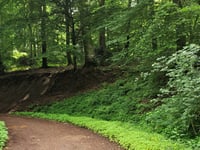 Karlshöher via Friedrichweg
