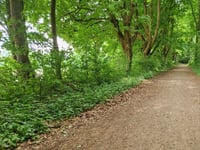 Karlshöher via Friedrichweg