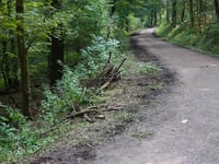 Karlshöher via Friedrichweg