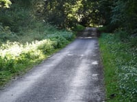 Kartenspielerweg / Hunsköbel von Grafwegen