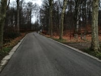 Kasteeldreef von Vlierbeek