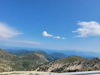 Katharia Rachi z Vlicho