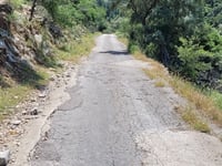 Katharia Rachi z Vlicho