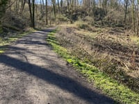 Katteberg von Bilzen