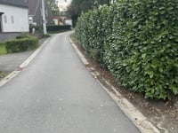 Kattebrug da Temse
