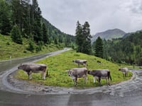 Kaunertaler Gletscherstrasse from Prutz