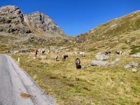 Kaunertaler Gletscherstrasse from Prutz