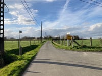 Keibos über Keistraat