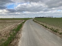 Keibos über Volkaartsbeekstraat