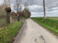 Keibos über Volkaartsbeekstraat