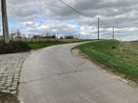 Keibos über Volkaartsbeekstraat