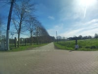 Keigatbos von Ursel