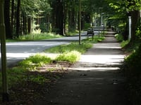Keijenbergseweg vanuit Bennekom