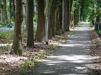 Keijenbergseweg vanuit Bennekom