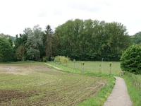 Keizer Willempad
