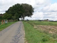 Klein Amerika von Breedeweg