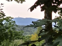 Kellerskopf from Naurod