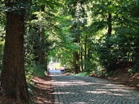 Kemmelberg