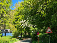 Kemmelberg von Kemmel