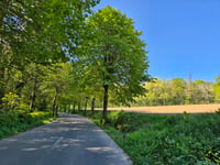 Kemmelberg von Kemmel