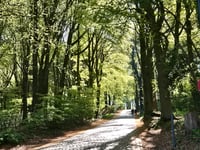 Kemmelberg von Kemmel
