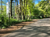 Kemmelberg über Klokhofweg