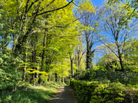 Kemmelberg über Klokhofweg