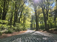Kemmelberg