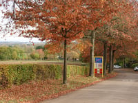 Kerkveldweg z Craubeek