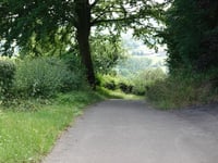 Loorberg por Kersenpad