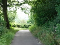 Loorberg por Kersenpad