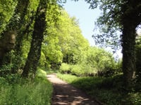 Loorberg por Kersenpad