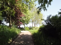 Loorberg por Kersenpad