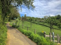 Loorberg por Kersenpad
