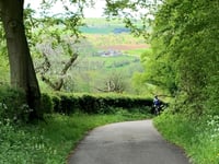 Loorberg por Kersenpad