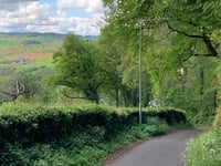 Loorberg por Kersenpad