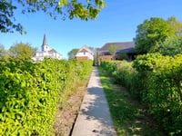 Ketse von Sint-Maria-Horebeke